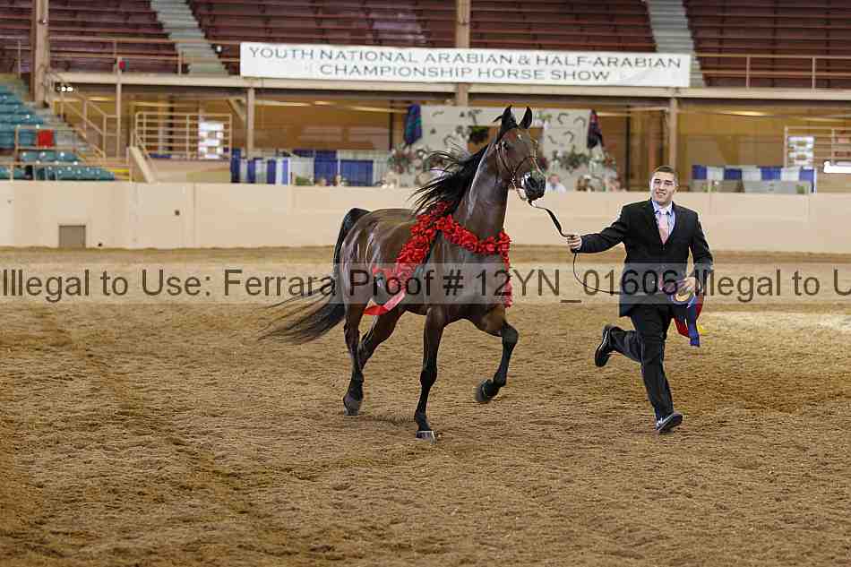 Proof 12yn_01606