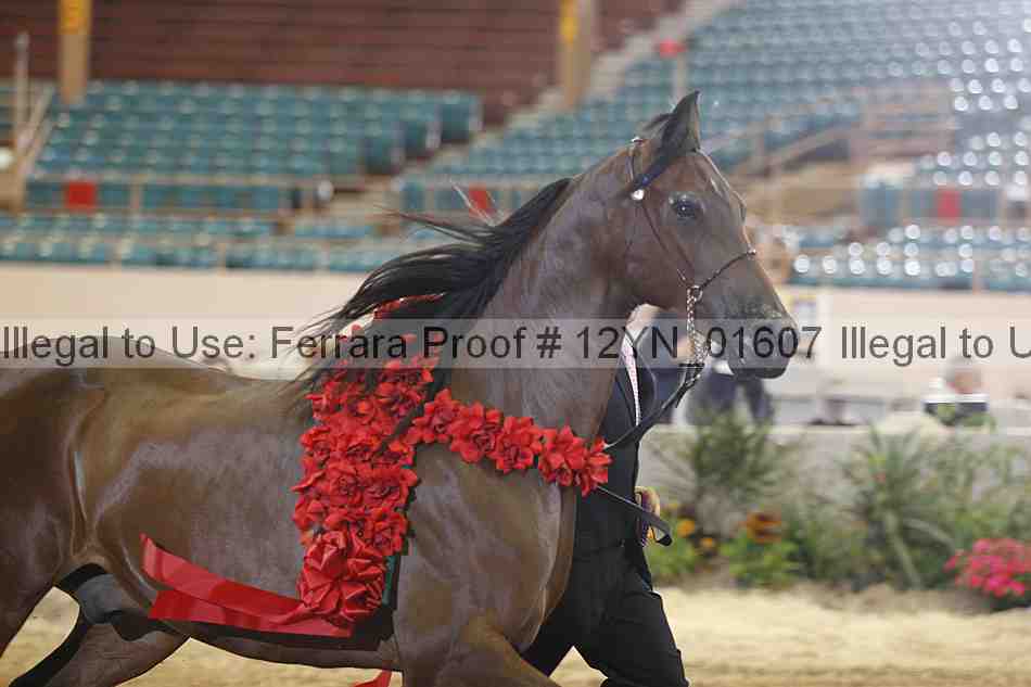 Proof 12yn_01607