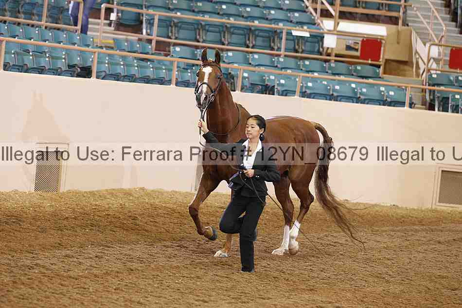 Proof 12yn_08679