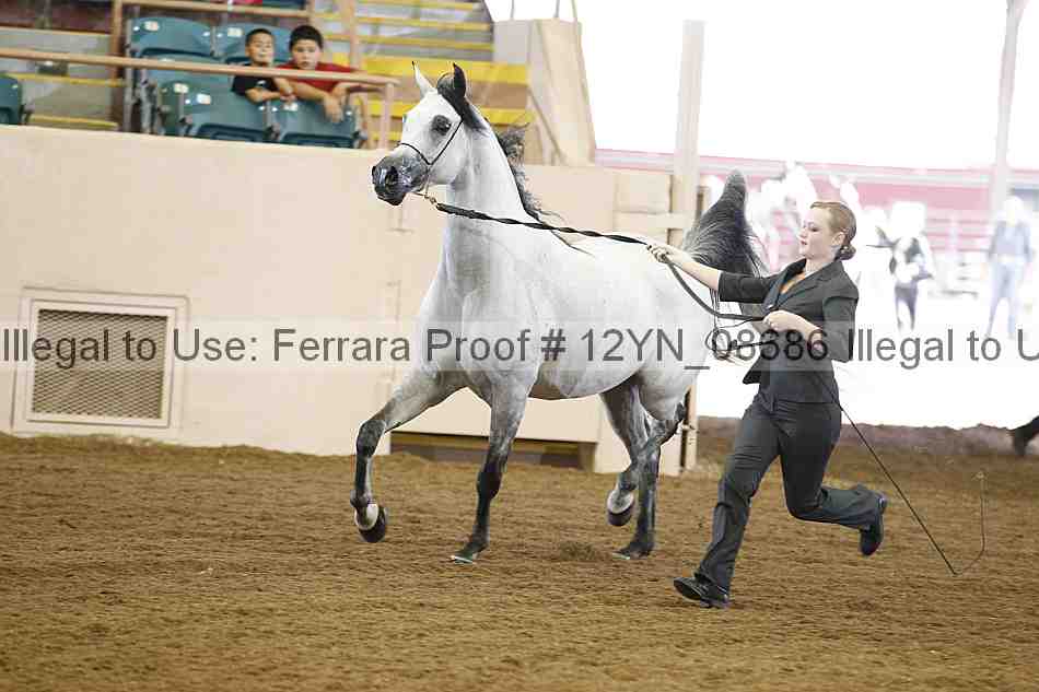 Proof 12yn_08686