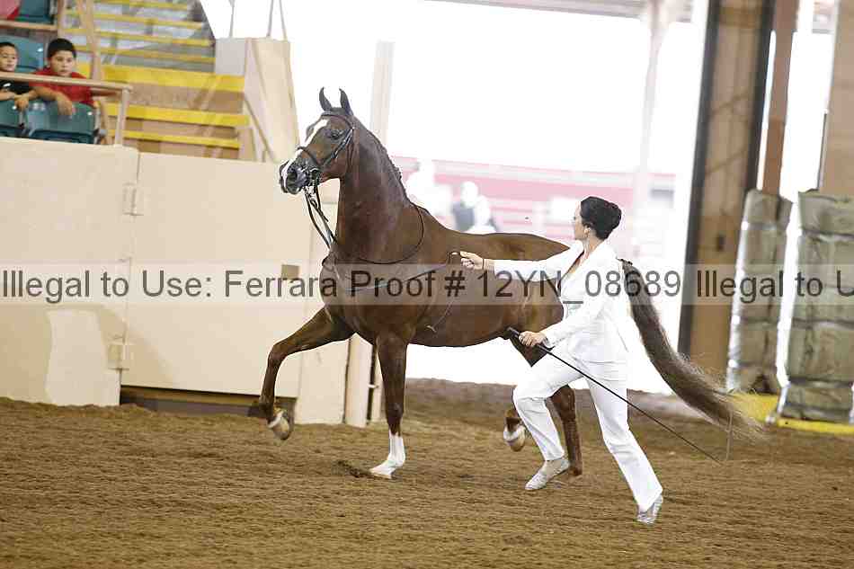 Proof 12yn_08689