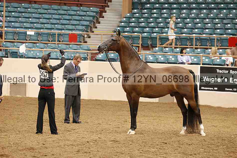 Proof 12yn_08698