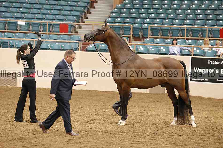 Proof 12yn_08699