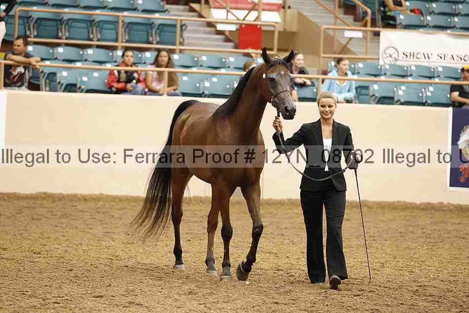 Proof 12yn_08702