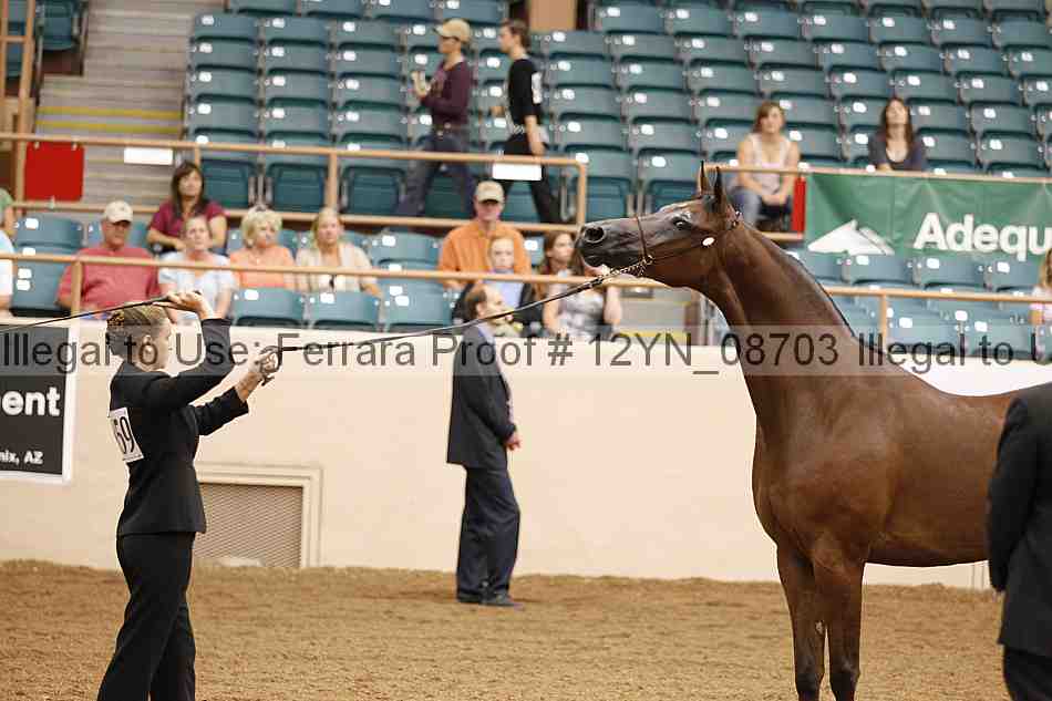 Proof 12yn_08703