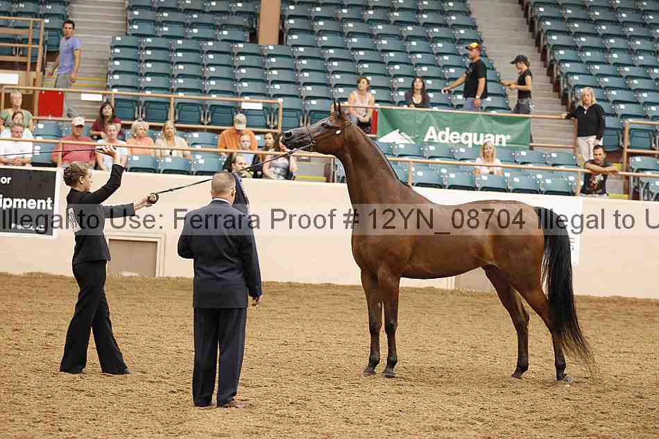 Proof 12yn_08704