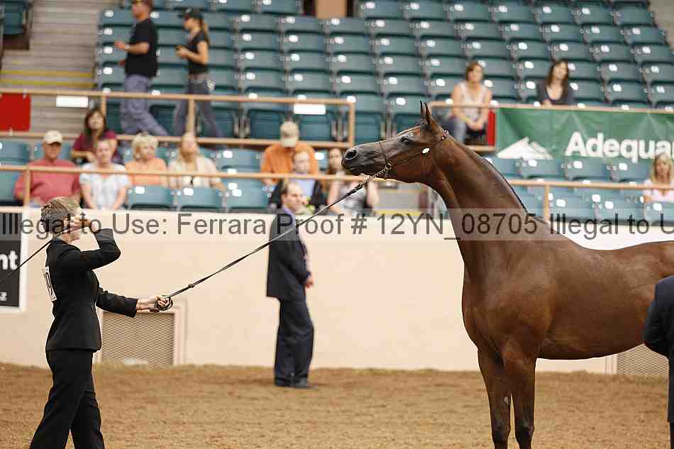 Proof 12yn_08705