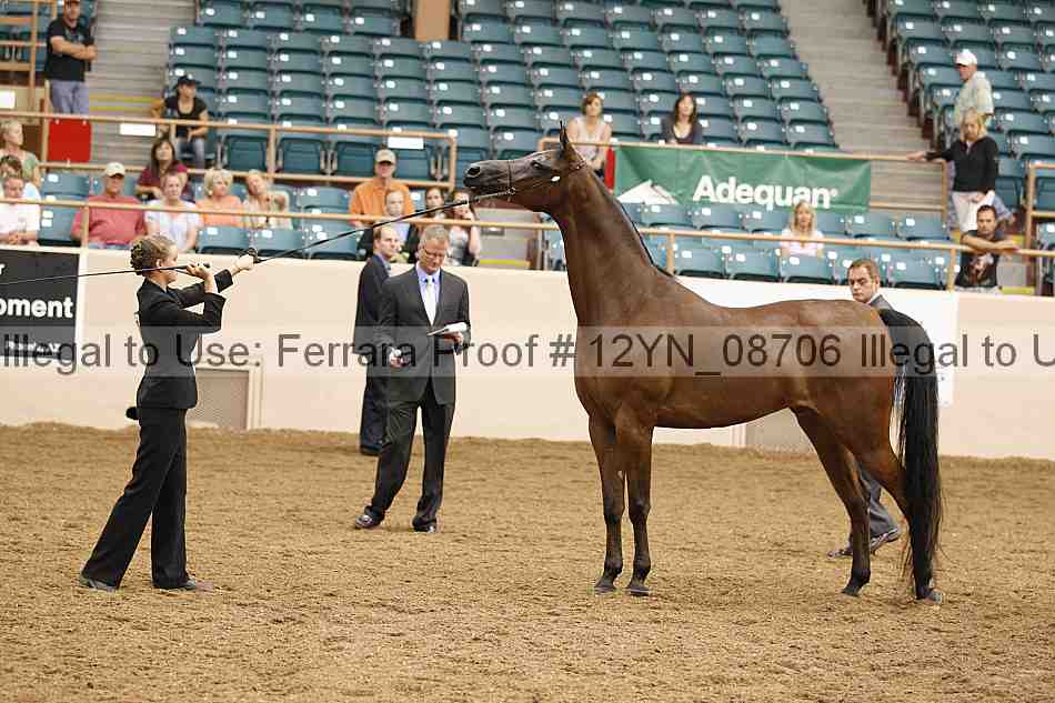 Proof 12yn_08706