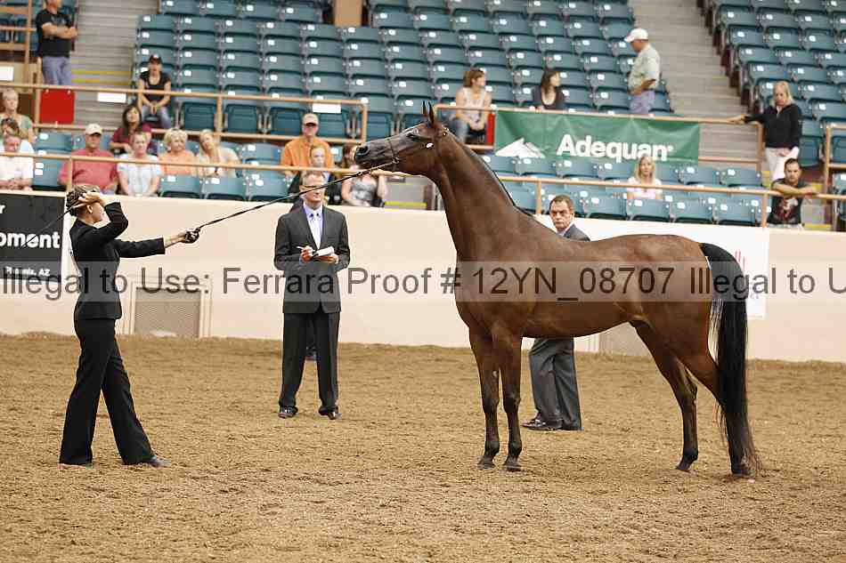 Proof 12yn_08707
