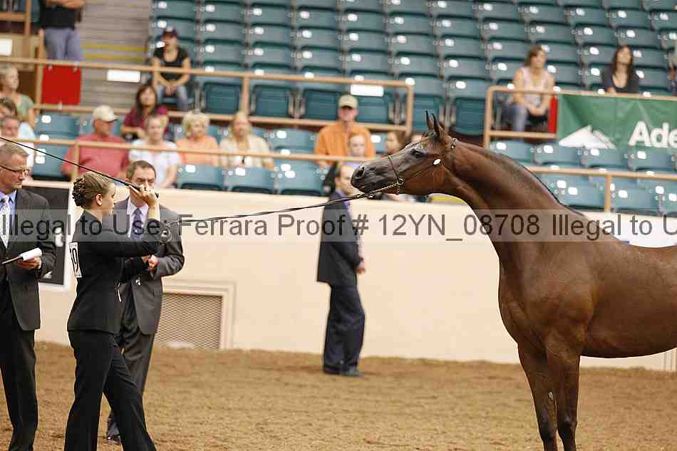 Proof 12yn_08708