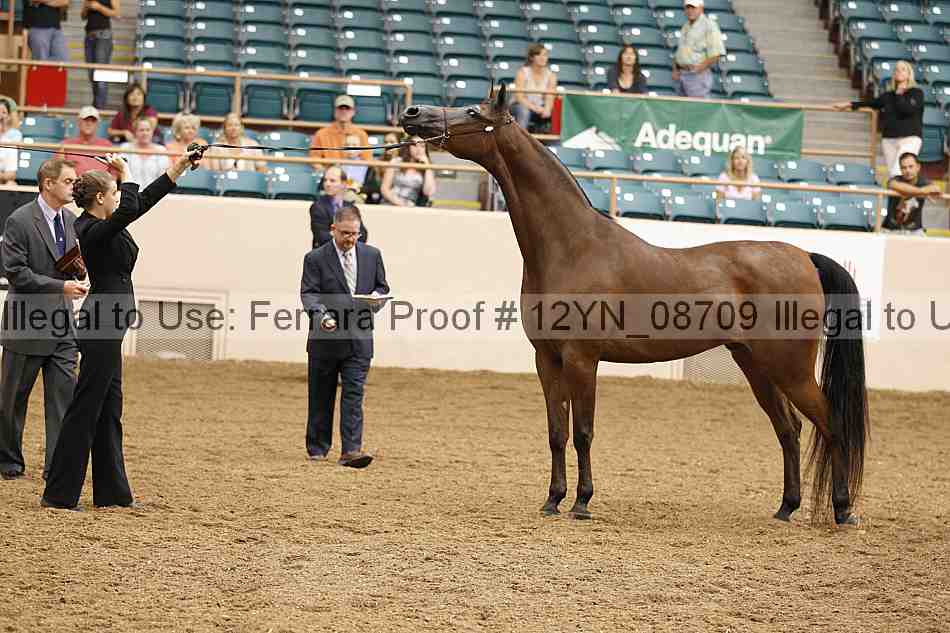 Proof 12yn_08709