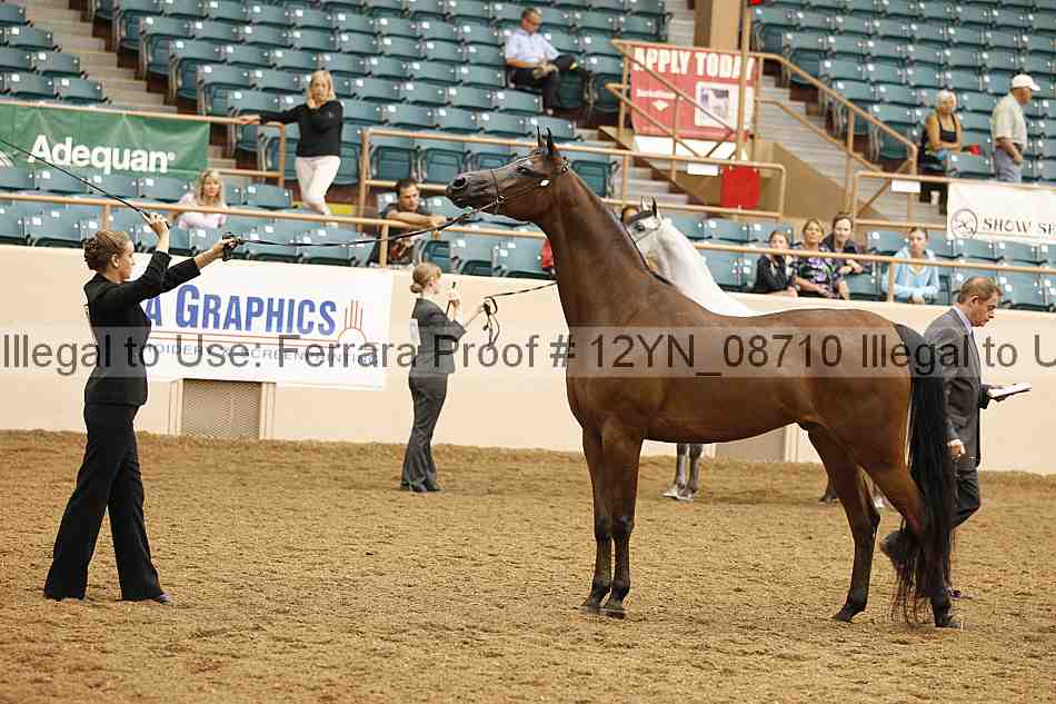 Proof 12yn_08710