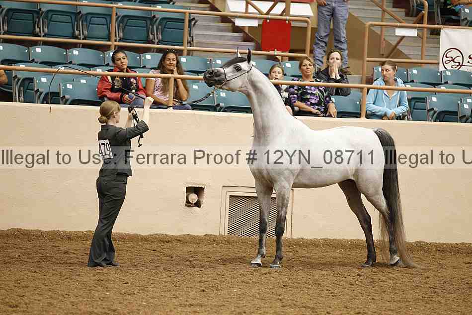 Proof 12yn_08711