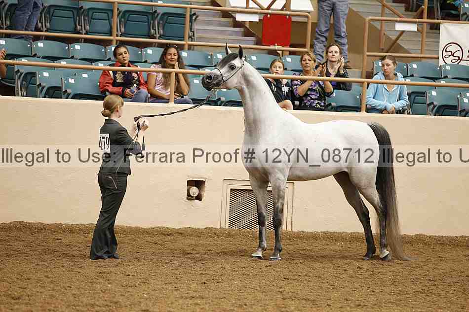 Proof 12yn_08712