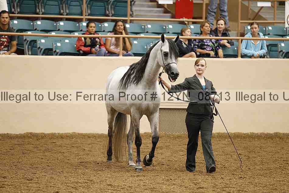 Proof 12yn_08713