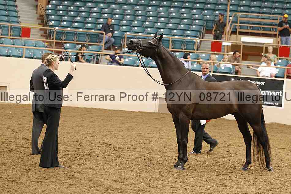 Proof 12yn_08721