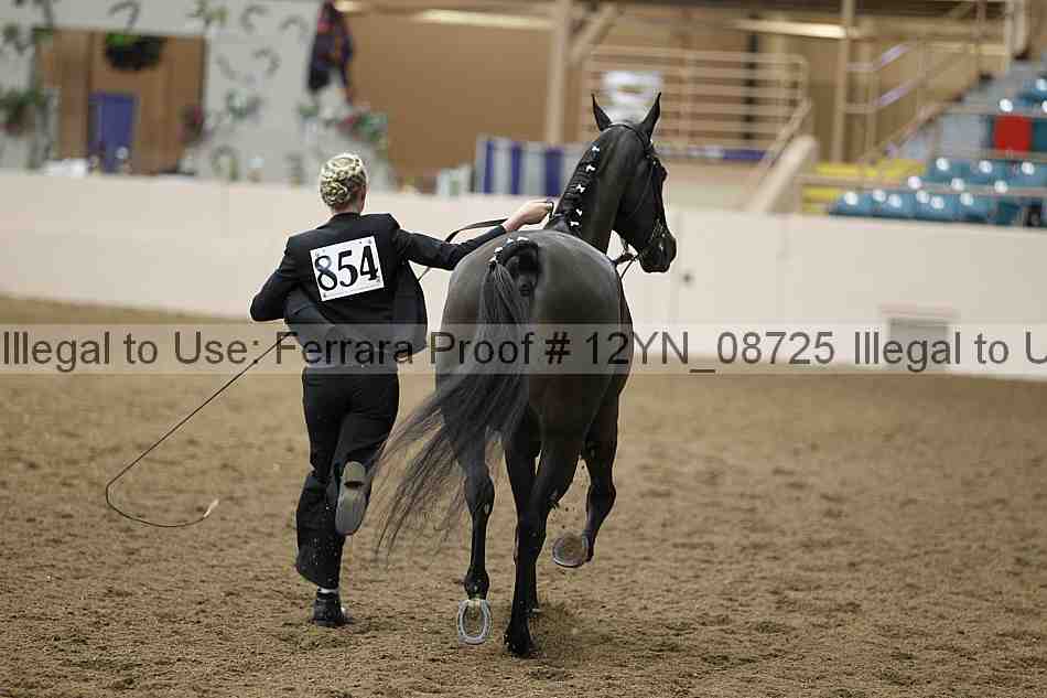 Proof 12yn_08725