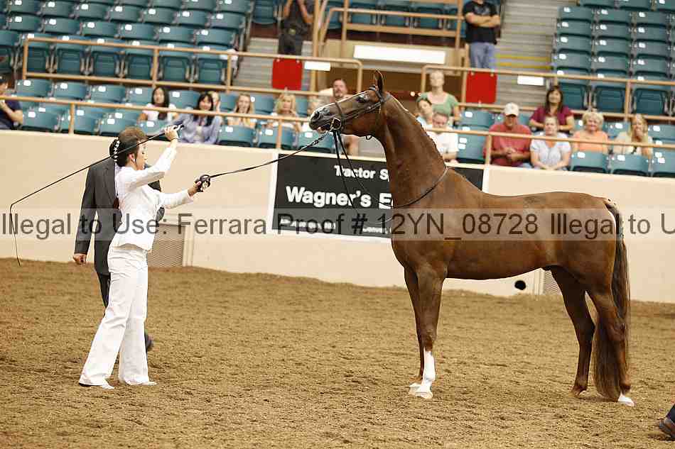 Proof 12yn_08728