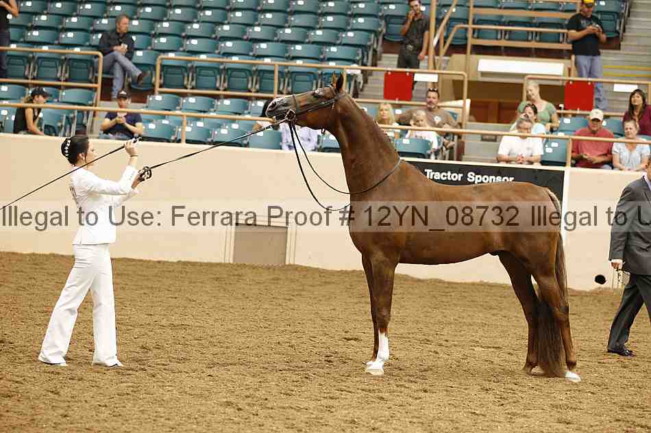 Proof 12yn_08732