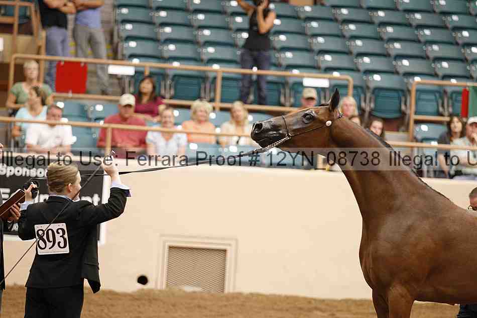 Proof 12yn_08738