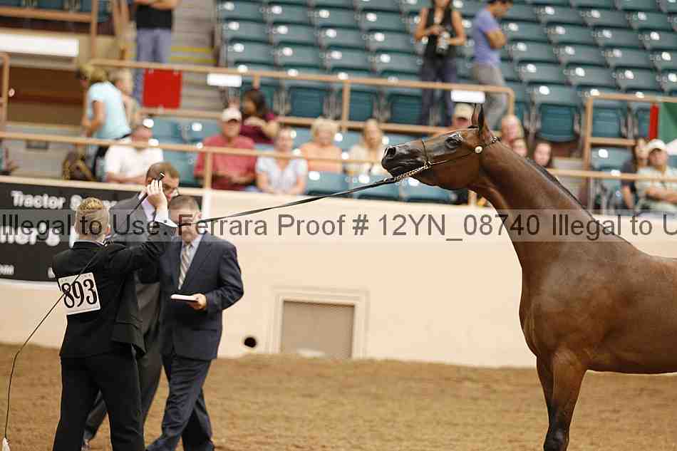 Proof 12yn_08740