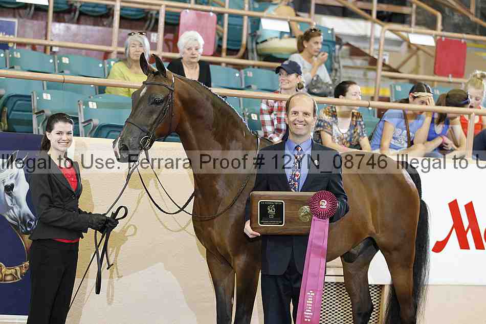 Proof 12yn_08746
