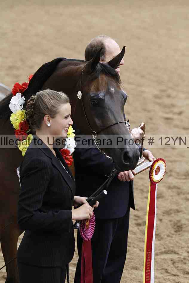 Proof 12yn_08771
