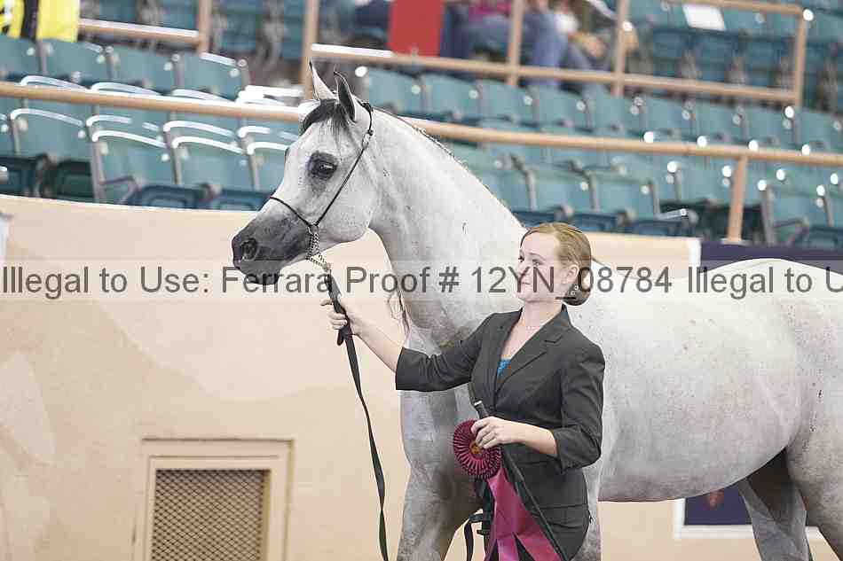 Proof 12yn_08784