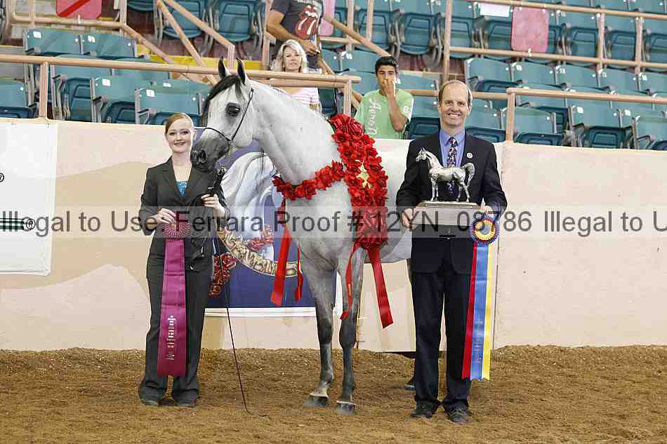 Proof 12yn_08786