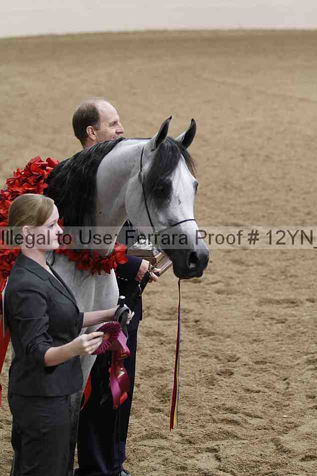 Proof 12yn_08792