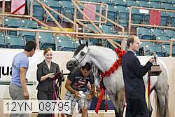 12yn_08795 proof