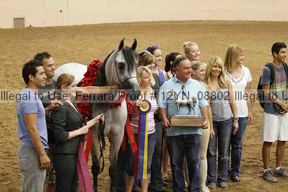Proof 12yn_08802