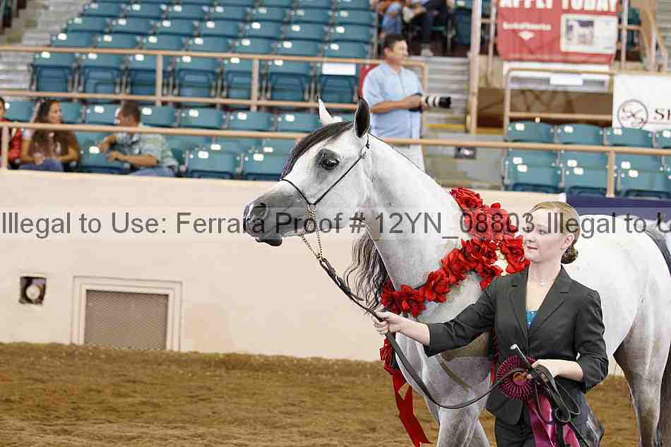 Proof 12yn_08803