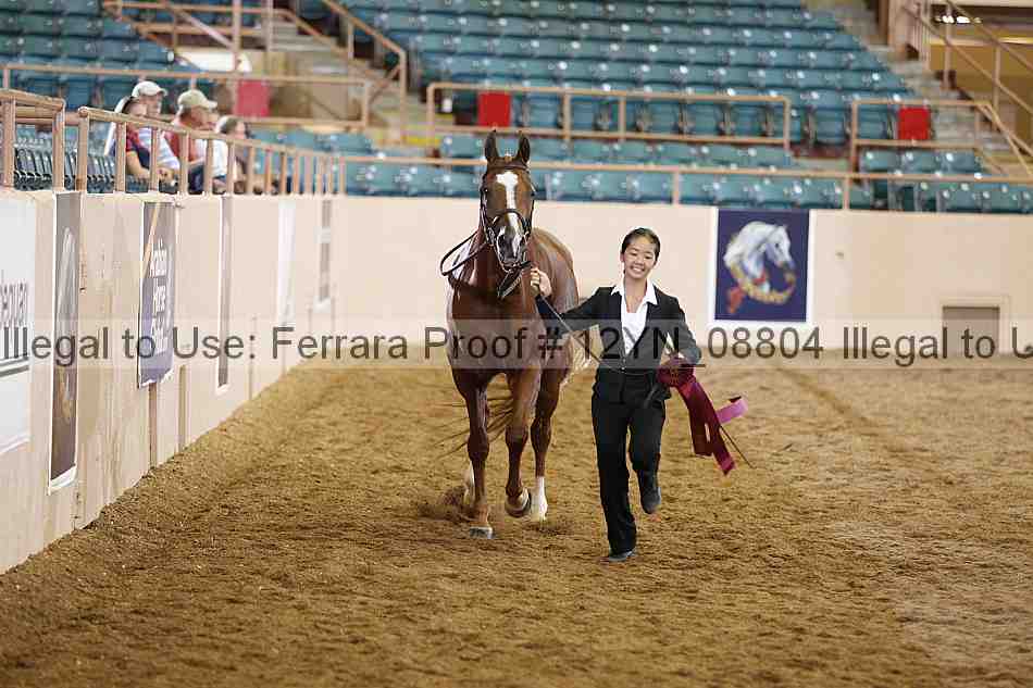 Proof 12yn_08804