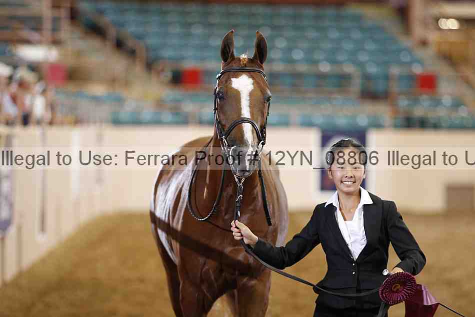 Proof 12yn_08806