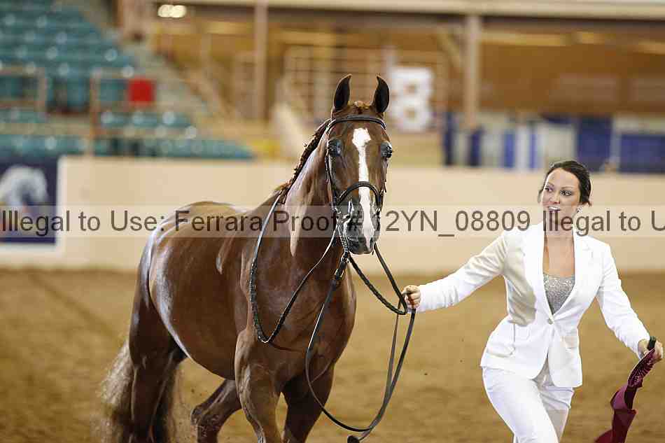 Proof 12yn_08809