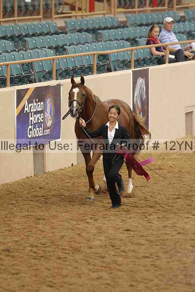 Proof 12yn_08810