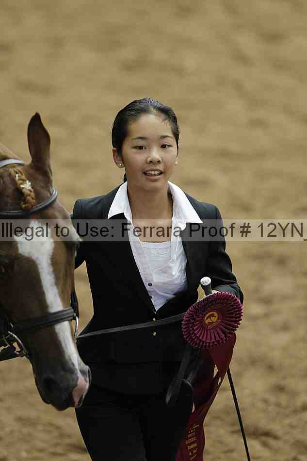 Proof 12yn_08816