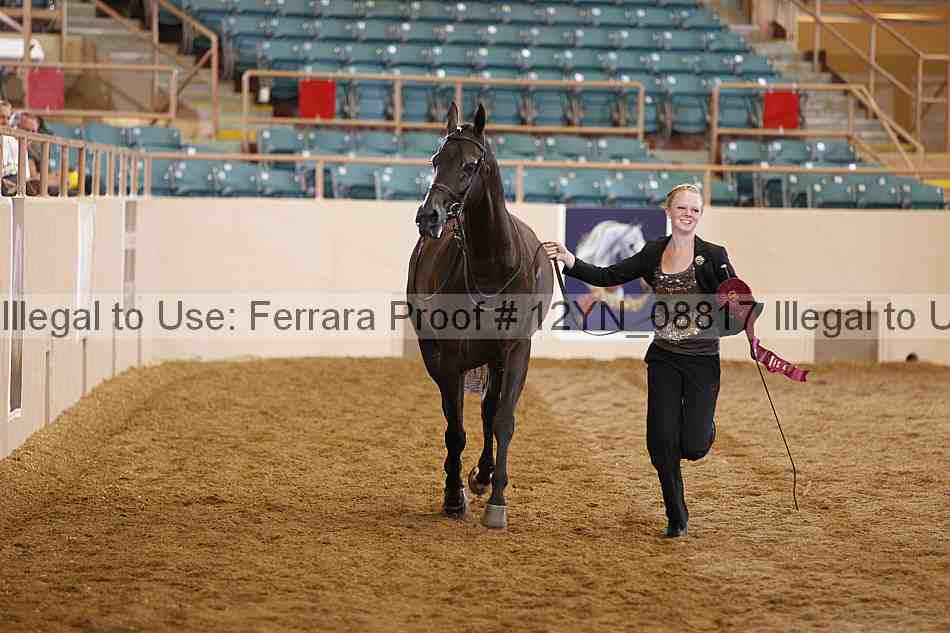 Proof 12yn_08817