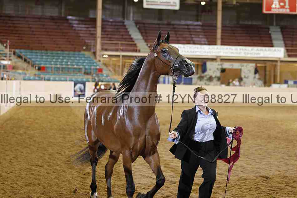 Proof 12yn_08827
