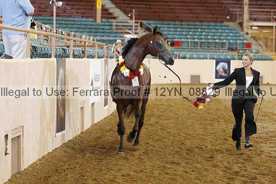 Proof 12yn_08829