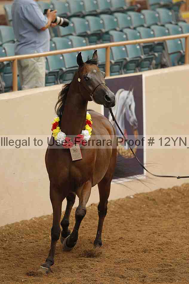 Proof 12yn_08834