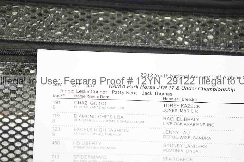 Proof 12yn_29122