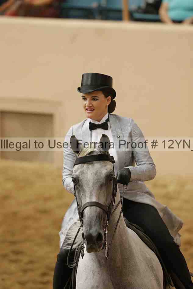 Proof 12yn_29166