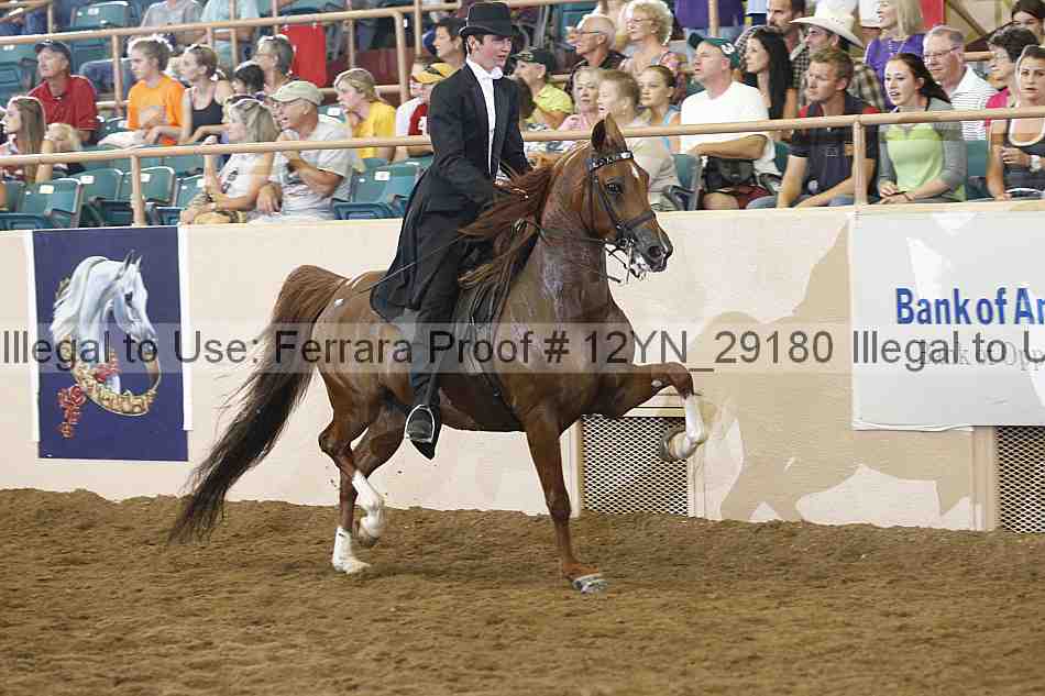 Proof 12yn_29180