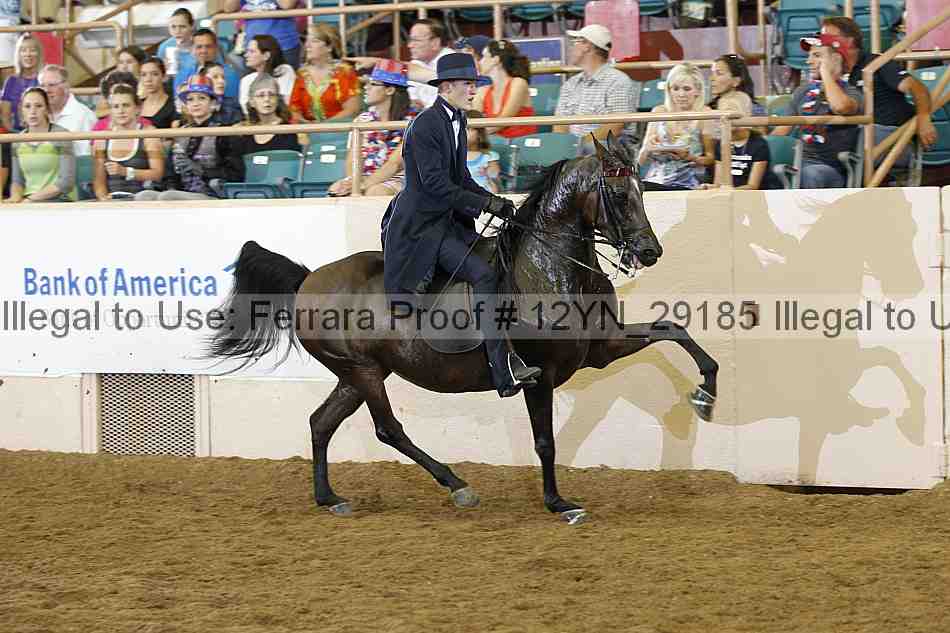 Proof 12yn_29185