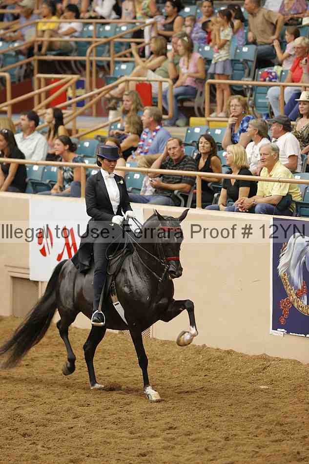 Proof 12yn_29187