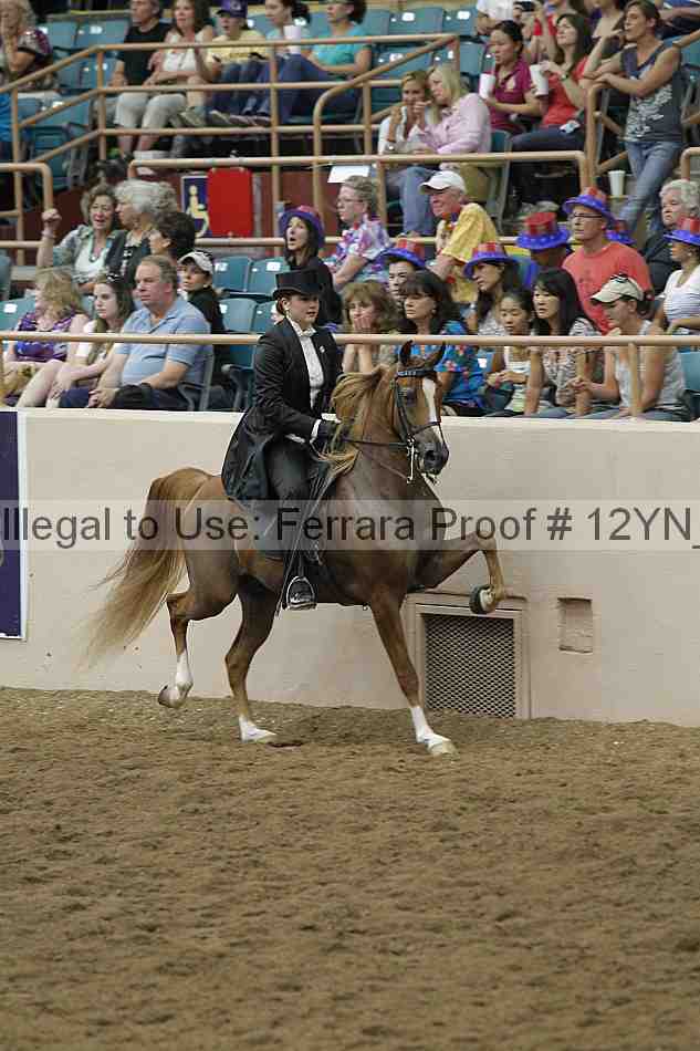 Proof 12yn_29188