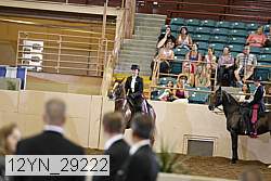 12yn_29222 proof