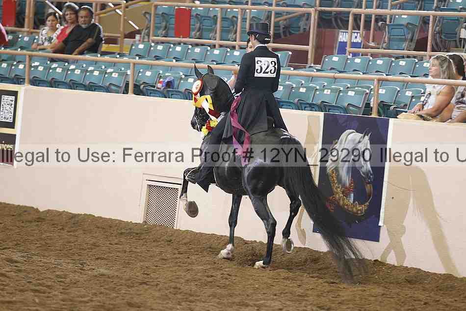 Proof 12yn_29290